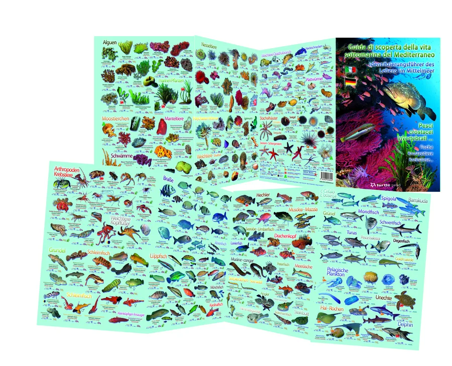 Dépliant Méditerranée (IT/DE)