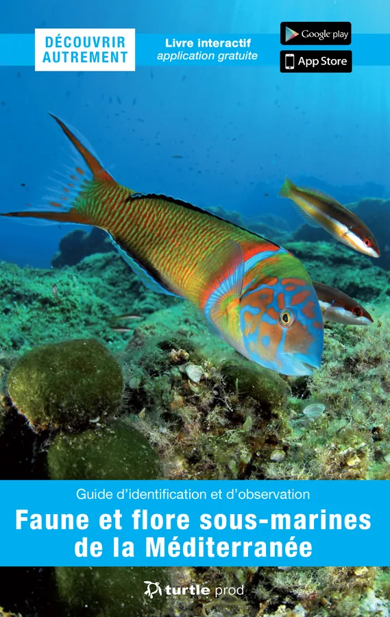Découvrir autrement faune et flore sous-marine de Méditerranée