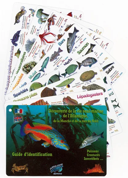 Guide de découverte · Atlantique, Manche & Mer du Nord