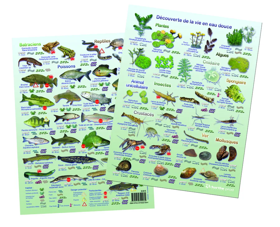 Plaquette découverte vie en eau douce