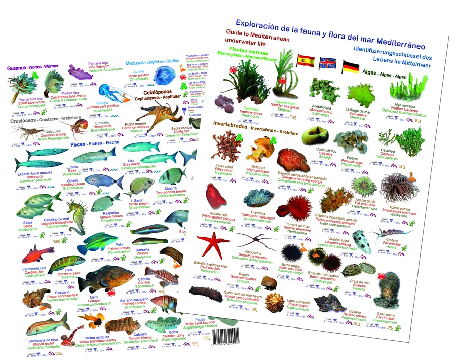 Plaquette Méditerranée (EN/ES/DE)