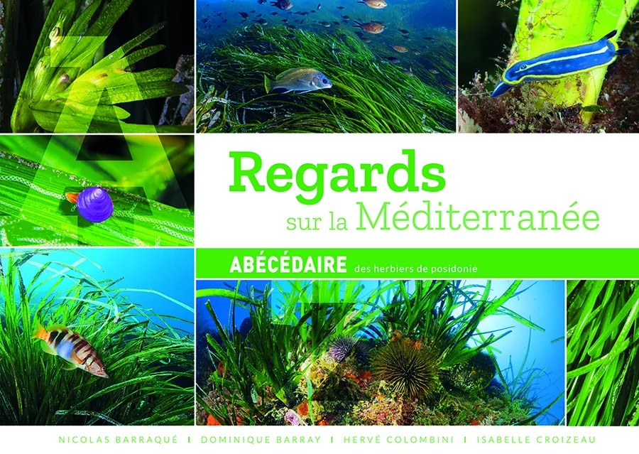 Regards sur la Méditerranée · Herbiers de posidonie
