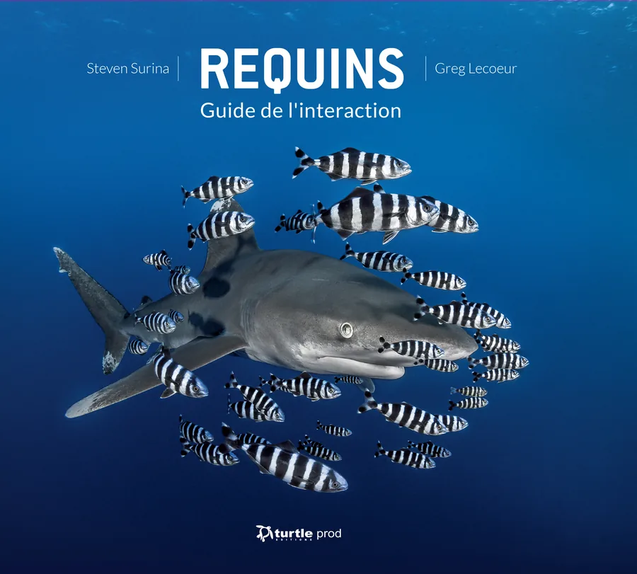 Guide de l'interaction requin