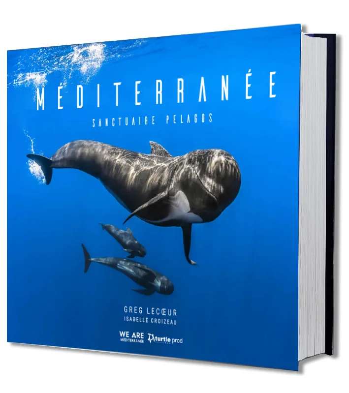 Méditerranée · Sanctuaire Pelagos
